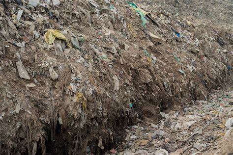 Indias Mountain Of Trash Is Nearly As Tall As The Taj Mahal Goats