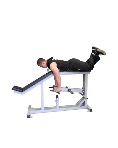 L5X Lying T-Bar Row Machine | T bar row, Row machine, At home gym