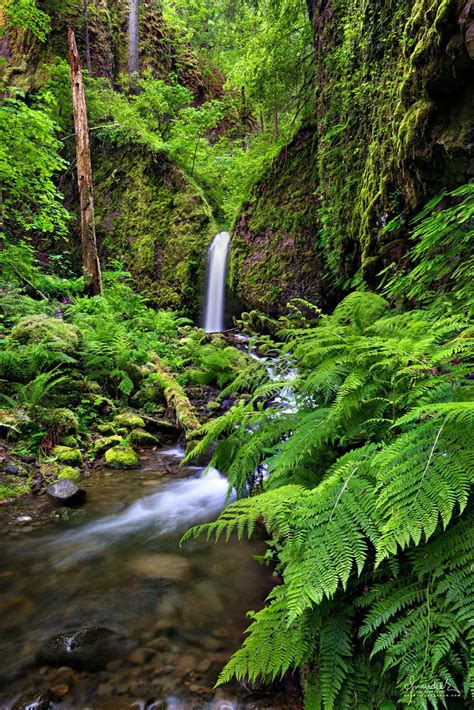 Mossy Grotto Falls Columbia River Gorge Oregon Photography