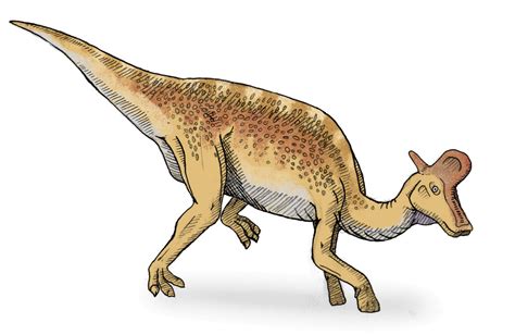 Lambeosaurus Cool Dino Facts Wiki Fandom