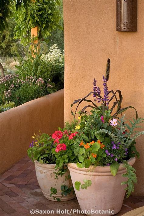 Looking for farm sitters with vegetable garden experience and that enjoy weeding, harvesting and all the sometimes tedious jobs on a garden! Containers of herbs and flowers on patio in New Mexico ...