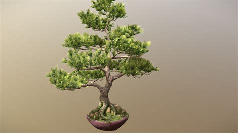 Bonsai Tree Buy Royalty Free 3d Model By Felipehez 98a6167