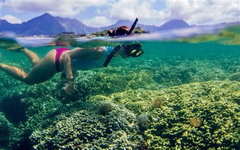 Best Snorkeling In Oahu In November Get More Anythinks