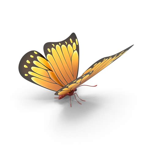 With tenor, maker of gif keyboard, add popular butterfly animated gifs to your conversations. Orange Butterfly PNG Images & PSDs for Download ...