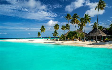 Download Cloud Sky Horizon Palm Tree Turquoise Ocean Maldives Tropical