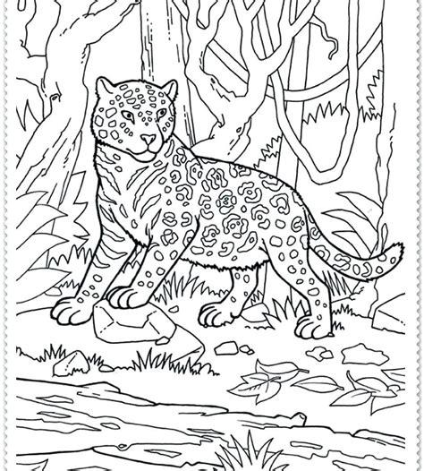 Jungle Coloring Pages For Adults At Getdrawings Free