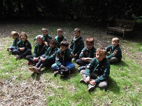 3rd Ware Scout Group Falcon Pack Camp At Thriftwood