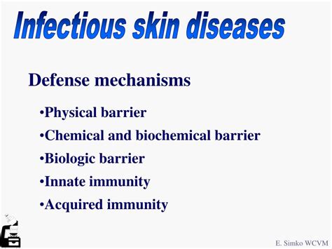 Ppt Infectious Skin Diseases Powerpoint Presentation Free Download