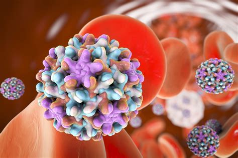 Most adults with hepatitis b recover fully, even if their signs and symptoms are severe. Hepatitis B (Hep B) - What is Hepatitis? | familydoctor.org