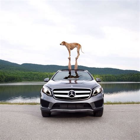 Mercedes Benz Usa Wins On Instagram Again With Glapacked Campaign