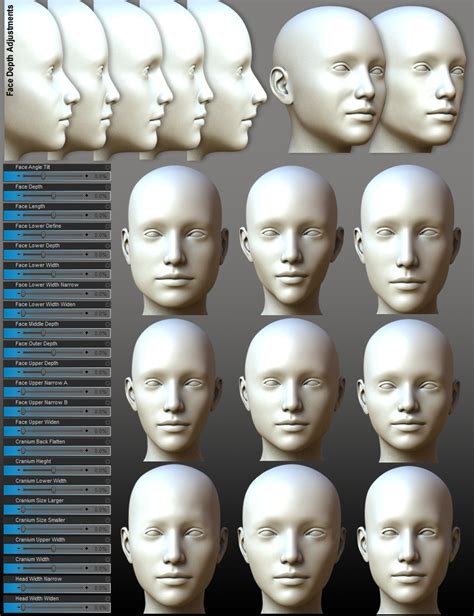 Daz Studio Genesis 2 Female Head Morphs Bazarvsera