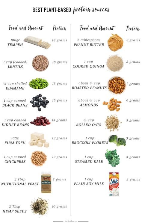 A Nutritionist Explains The Best Plant Based Protein Sources Hello