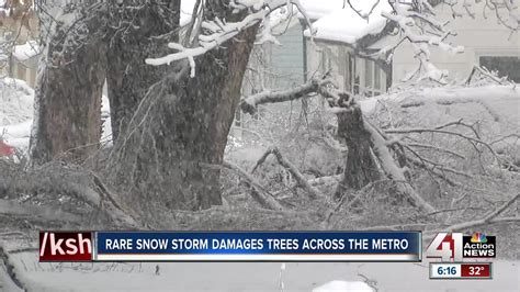 Will Weekend Snowstorm Bring Even More Damage To Trees In