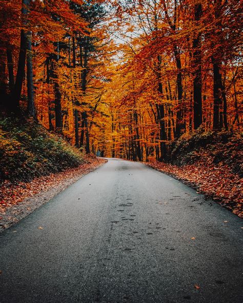 autumn-roads-pictures-download-free-images-on-unsplash