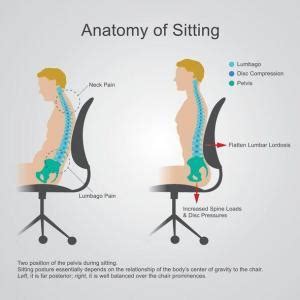 Proper Sitting Posture Joi Jacksonville Orthopaedic Institute