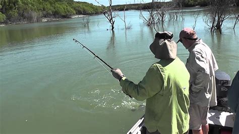 Fishing At One Tree Beach Assorted Fishing Captures Pt 1 Youtube