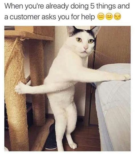 Idea By Crystal Evans On Memes Retail Humor Funny Cat Memes Work Memes