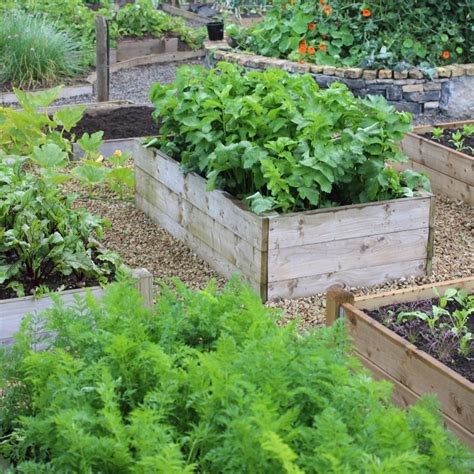 Timber Raised Vegetable Beds