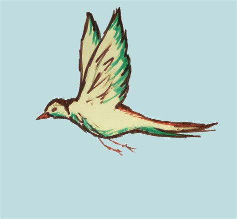 Cartoon Bird Flapping Wings Clip Art Library
