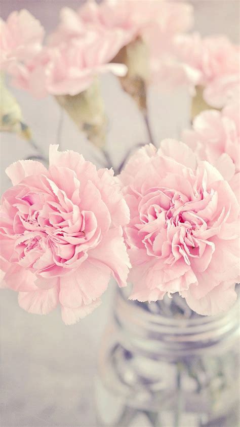 Pretty Pink Flowers Pastel Wallpaper Iphone Background Pink