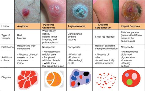 Fmgemciusmle Study Materials And Practice Papers