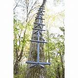 Pictures of Tree Stand Climbing Steps