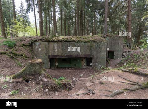 Intact Siegfried Line Bunker From The Second World War Eifel Region