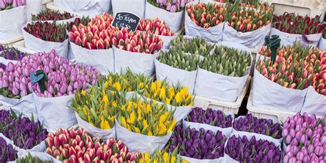 Get Pumped For Spring With The Most Stunning Flower Markets Around The