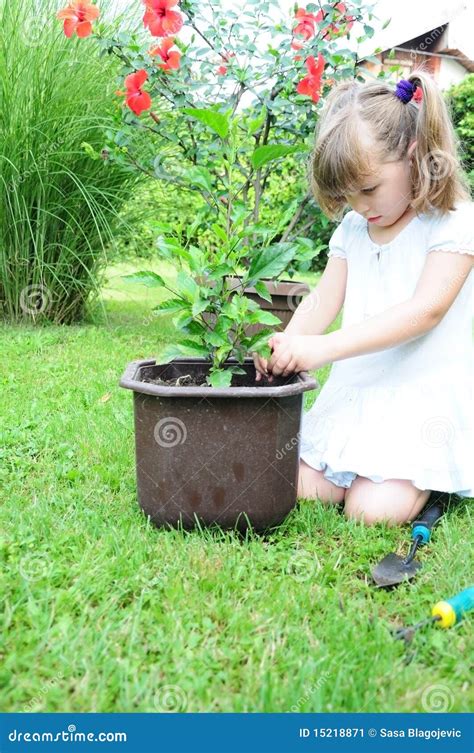 Girl Planting A Plant Stock Image Image Of Flower Grass 15218871