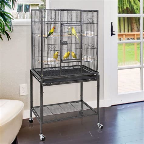 The Best Cages For Cockatiels In Review And Recommend