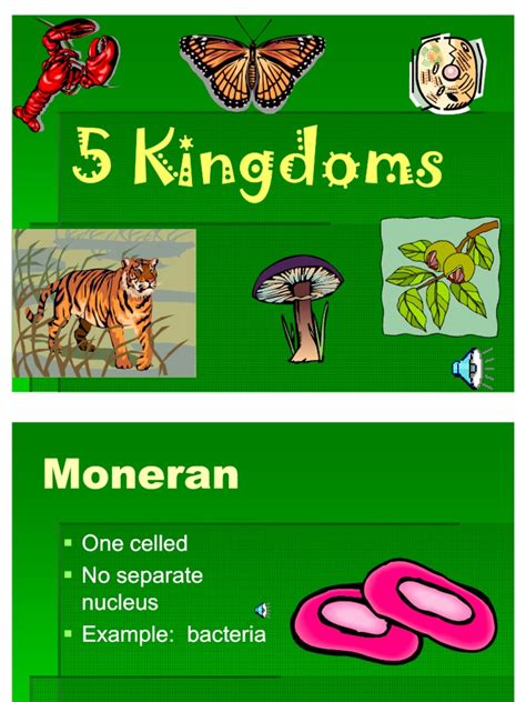 Grade 6 Science Power Point On 5 Kingdoms