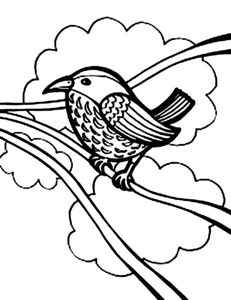 Unique bird outline drawing nice design 3362. Robin Coloring Pages - Best Coloring Pages For Kids