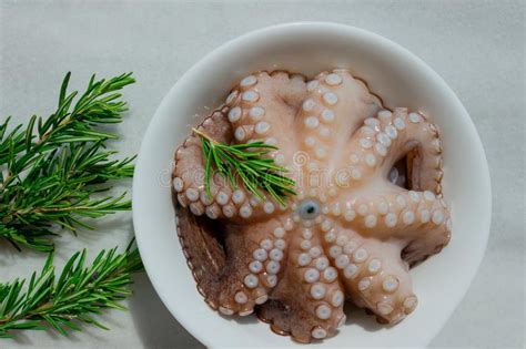Fresh Raw Octopus In A Bowl Concept Healthy Food Longevity Stock
