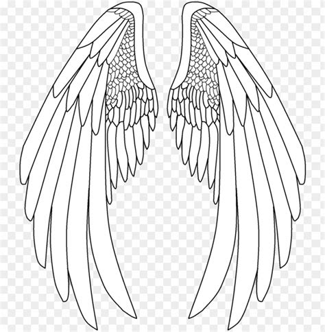 Svg Royalty Free Archangel Drawing Anime Angel Wings Drawi