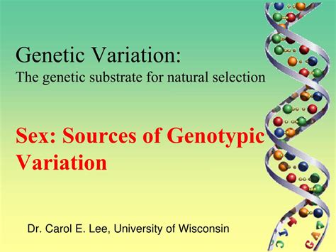 Ppt Genetic Variation The Genetic Substrate For Natural Selection