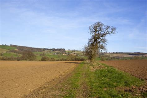 Scenic Farmland In Yorkshire Stock Photo Image Of Scenery English