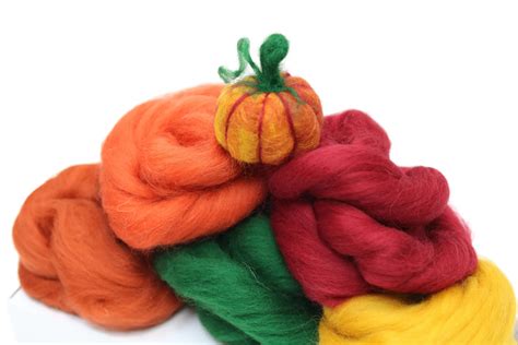 Pumpkin Needle Felting Kit Felting Wool Bundle Plus Online Video