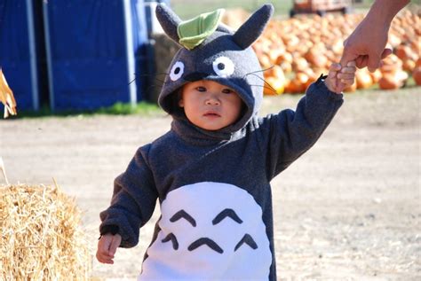 Blippo has the biggest selection of kawaii accessories online! Happy Halloween! | Totoro costume, Totoro, Baby costumes