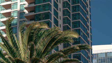 San Diego rent average: who pays the most rent?