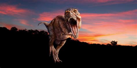 T is listed in the world's largest and most authoritative dictionary database of abbreviations and acronyms. T. rex: The Ultimate Predator Exhibition | AMNH