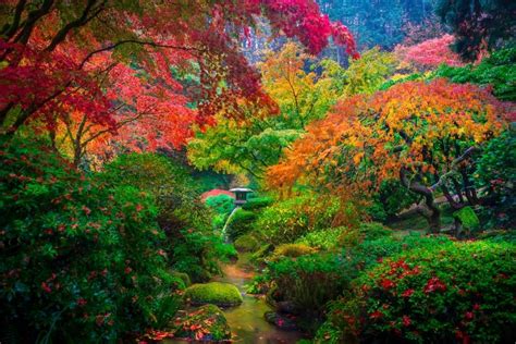 Portland Oregon Japanese Garden Photos