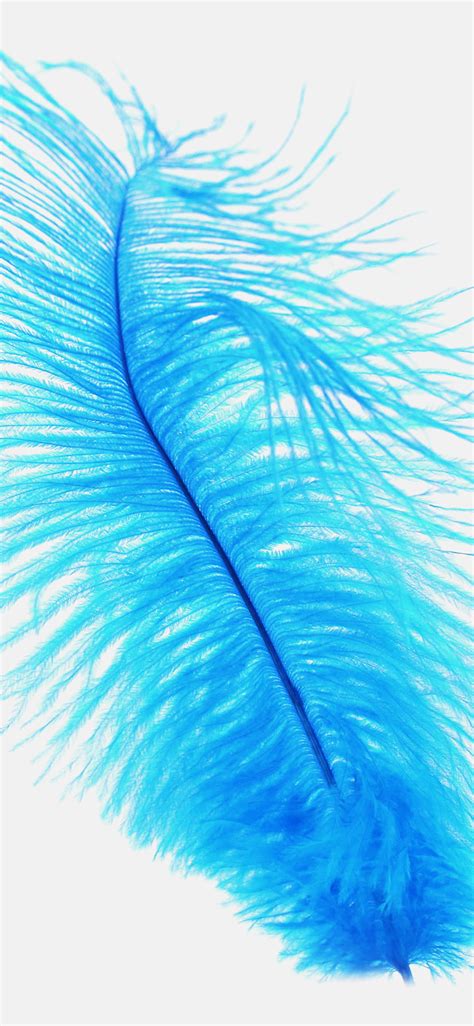 1125x2436 Blue Feather Iphone Xsiphone 10iphone X Hd 4k Wallpapers