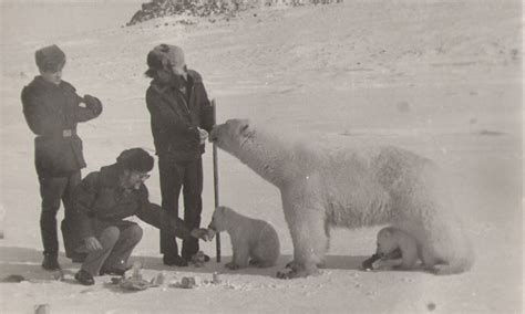 Hidden And Little Known Places When The Soviets Fed Polar Bears