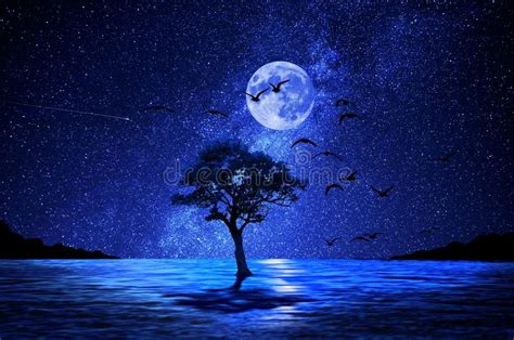 Night Tree On Lake And Moon Stock Photo Image Of Astronomy Horizon