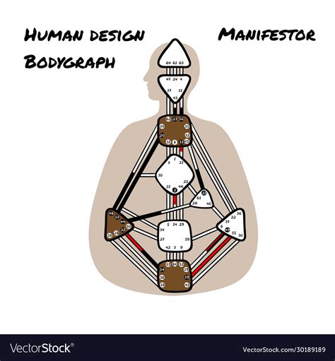 Manifestor Human Design Bodygraph Nine Colored Vector Image