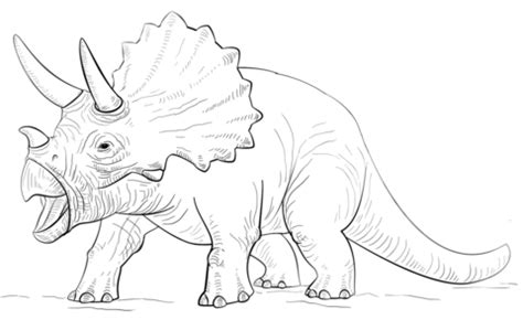 Triceratop Dinosaur Coloring Page Free Printable Coloring Pages
