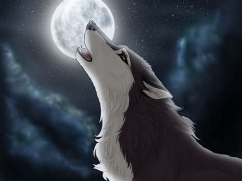 Please contact us if you want to publish an anime wolf wallpaper on our site. anime wolf shared by Raika on We Heart It