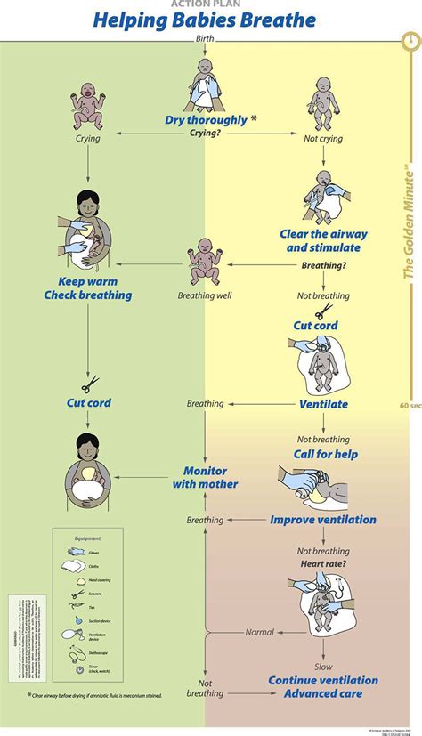 Neonatal Resuscitation In Low‐resource Settings What Who And How To