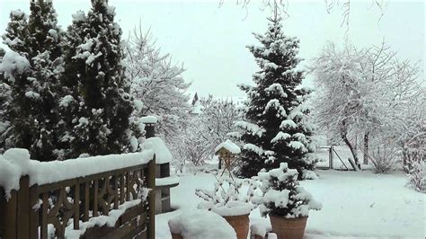 Rasen mähen, hecken und büsche schneiden und auch der fachgerechte baumschnitt wird durch uns fristgerecht erledigt. Karlsruhe Winter im Garten in Hagsfeld-Geroldsäcker am 15 ...