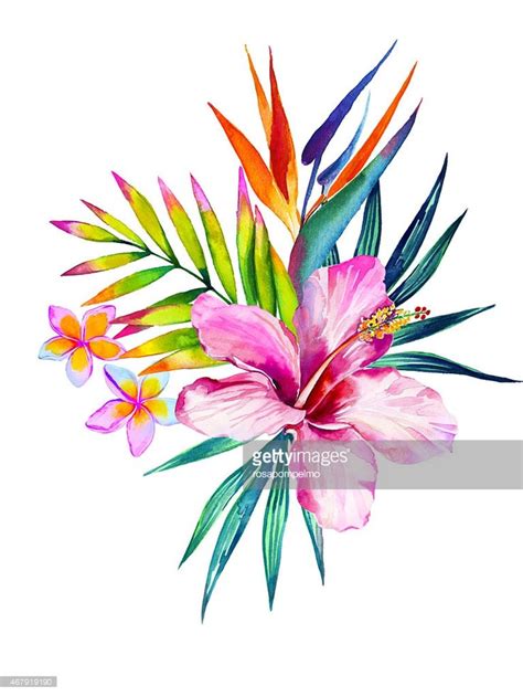 Illustration Bouquet De Fleurs Tropicales Dessin Bouquet De Fleurs